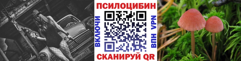 ОМГ ОМГ tor  даркнет сайт  Данилов  Галлюциногенные грибы ЛСД 