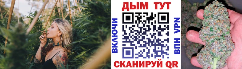 Бошки марихуана Bruce Banner  магазин  наркотиков  Данилов 